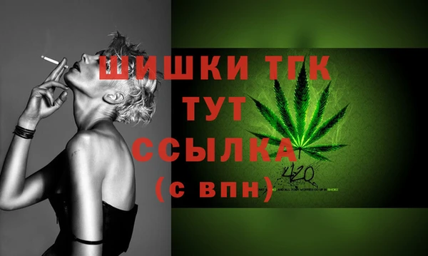 эйфоретик Елизово