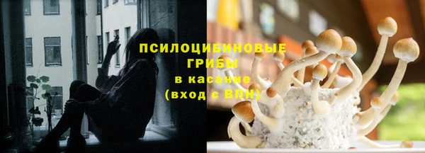 метадон Алексин
