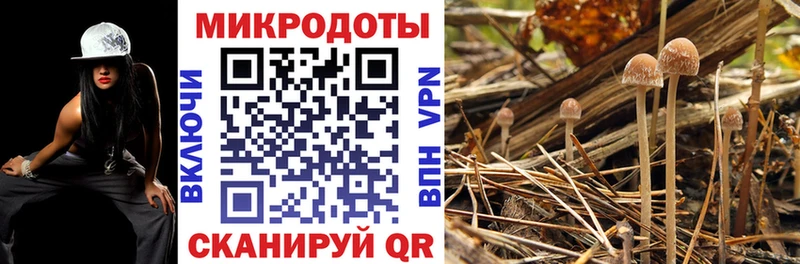 Галлюциногенные грибы прущие грибы  Катайск 