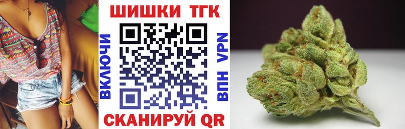 Бошки Шишки THC 21%  купить наркотики сайты  Катайск 
